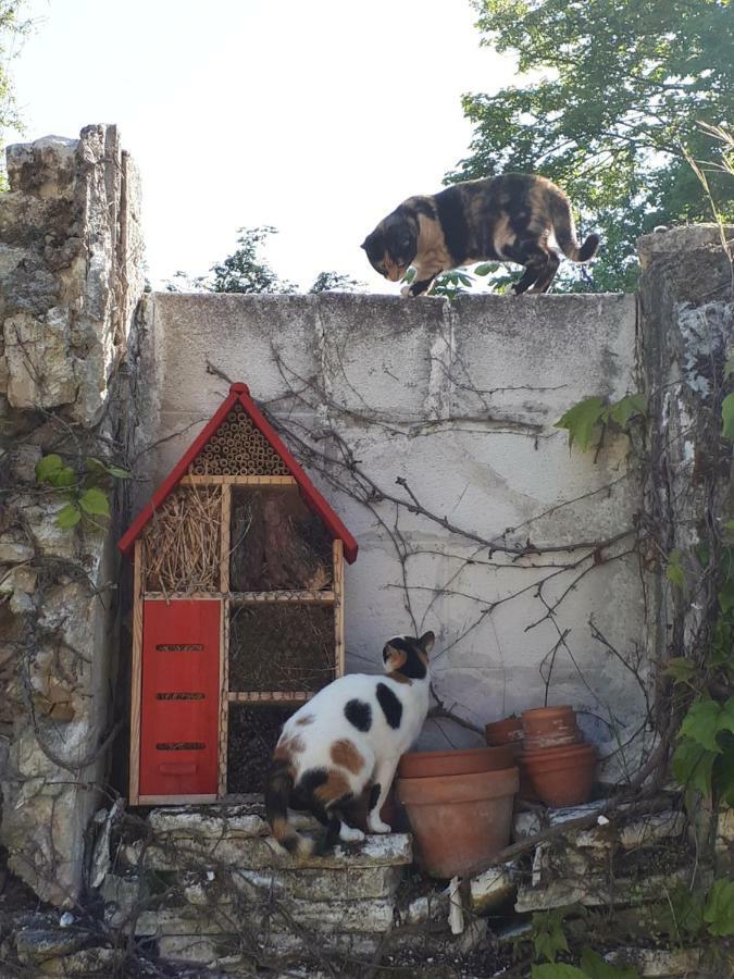 Au Chat Perche Mareil-sur-Mauldre Bagian luar foto